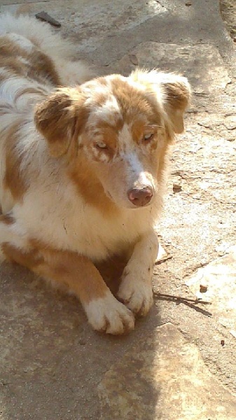 Publication : du Domaine D'Eily