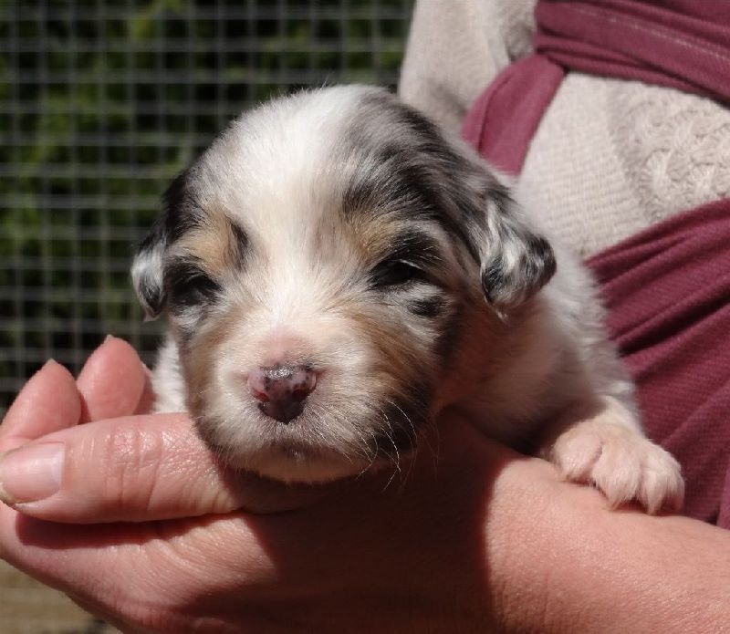 Publication : du Domaine D'Eily