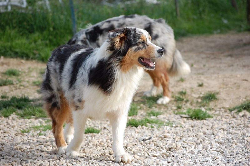 Publication : du Domaine D'Eily