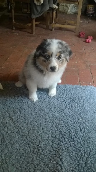 Publication : du Domaine D'Eily