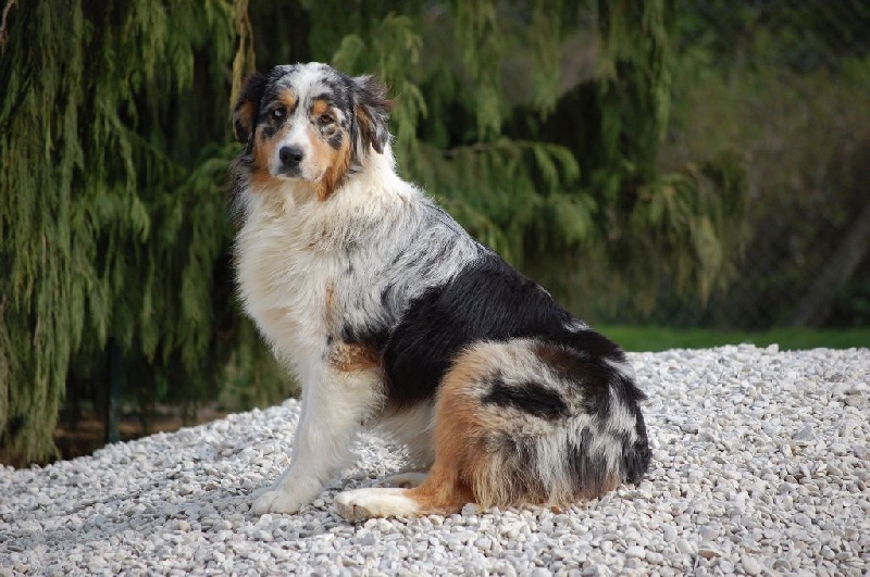 Publication : du Domaine D'Eily