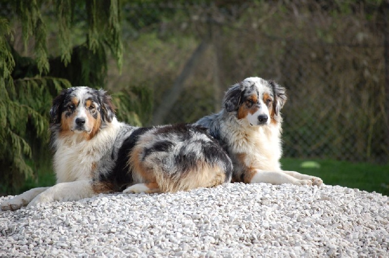 Publication : du Domaine D'Eily