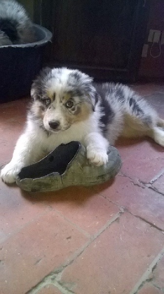 Publication : du Domaine D'Eily