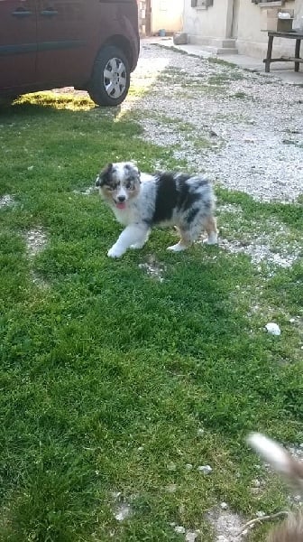 Publication : du Domaine D'Eily