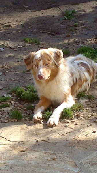 Publication : du Domaine D'Eily