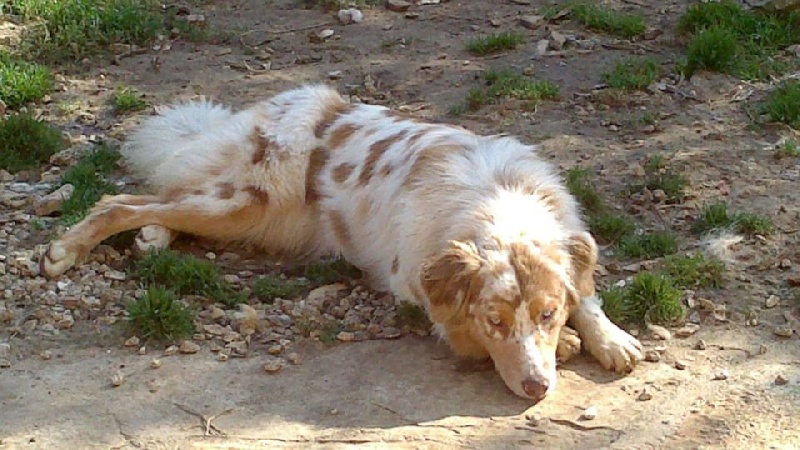 Publication : du Domaine D'Eily