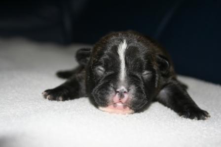 Dolce vita du domaine des vents d'ouest