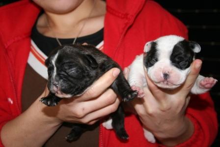 Dolce vita du domaine des vents d'ouest