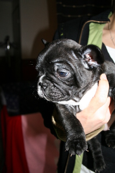 Dolce vita du domaine des vents d'ouest