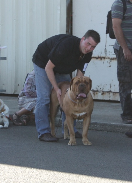 CH. Cayenne des milles diables - 1ère excellent CACS BOB (co)