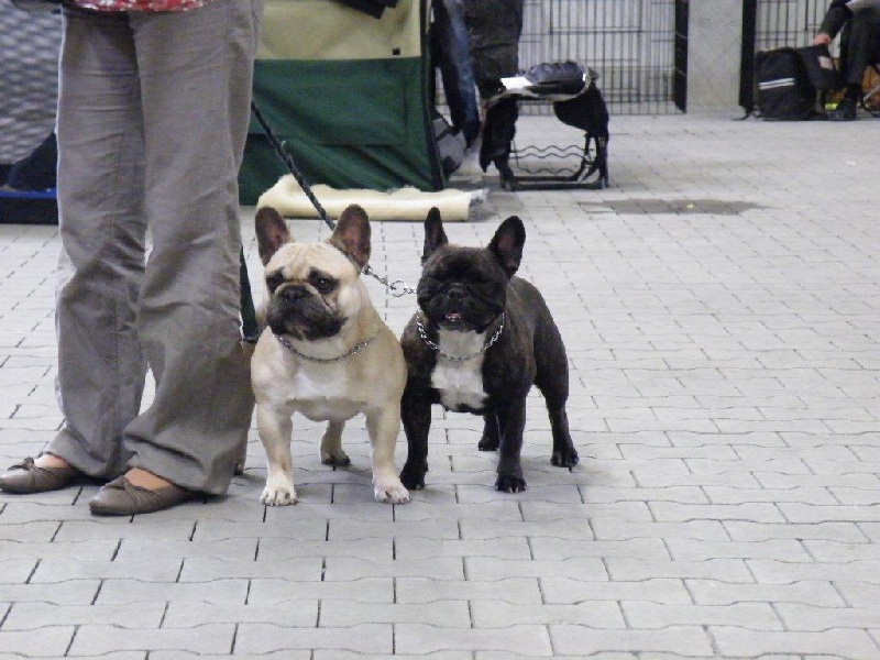 Dolce vita du domaine des vents d'ouest - 3ème excellent(co)