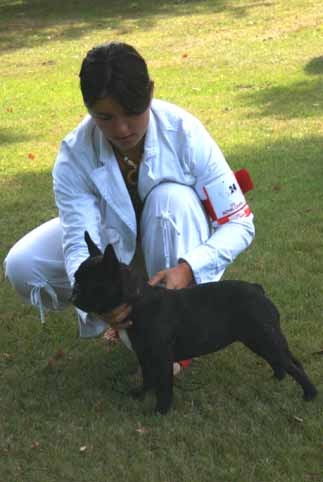 Dolce vita du domaine des vents d'ouest - TRES PROMETTEUR (classe baby)