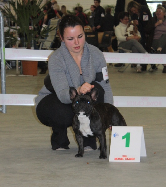 Dolce vita du domaine des vents d'ouest - 1 ère excellent CACS (CI)