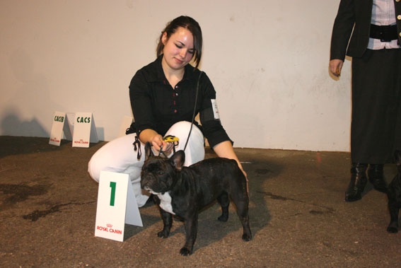 Dolce vita du domaine des vents d'ouest - 1 ère exc RCACS (CI)