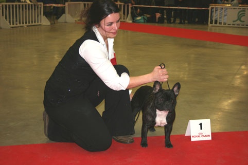 Dolce vita du domaine des vents d'ouest - 1ère exc CJ MEILLEUR JEUNE