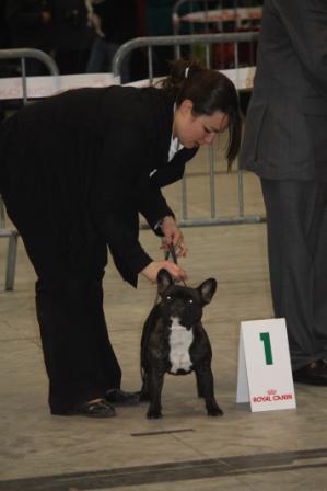 Dolce vita du domaine des vents d'ouest - 1ère excellent (CI)