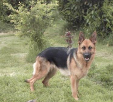 Publication : de Run an Faouët