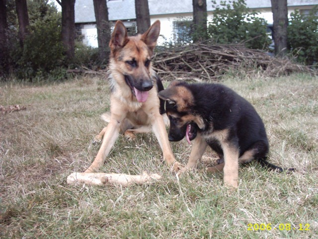 Publication : de Run an Faouët