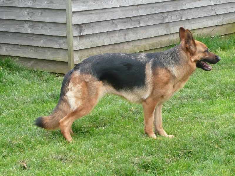 Publication : de Run an Faouët