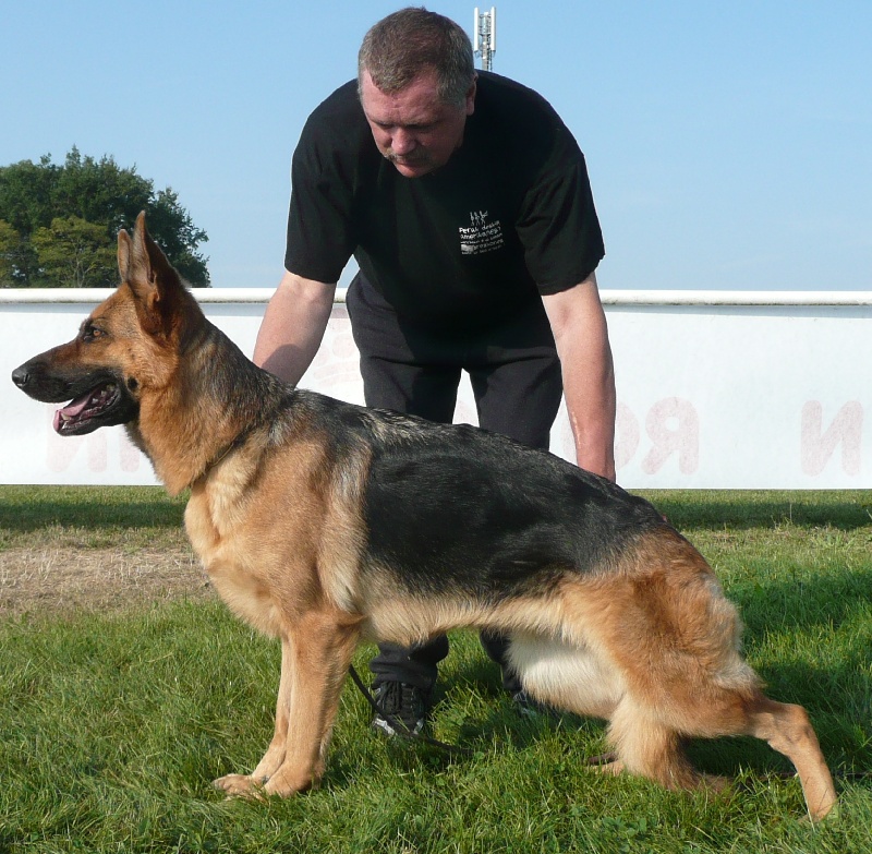 Publication : de Run an Faouët