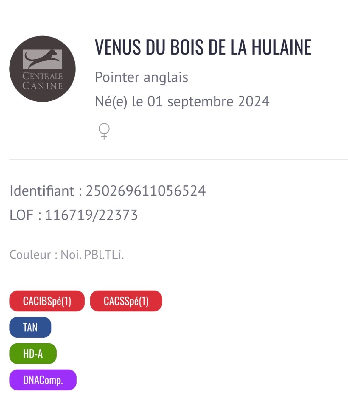Venus du bois de la Hulaine