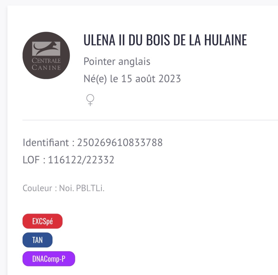Uléna du bois de la Hulaine