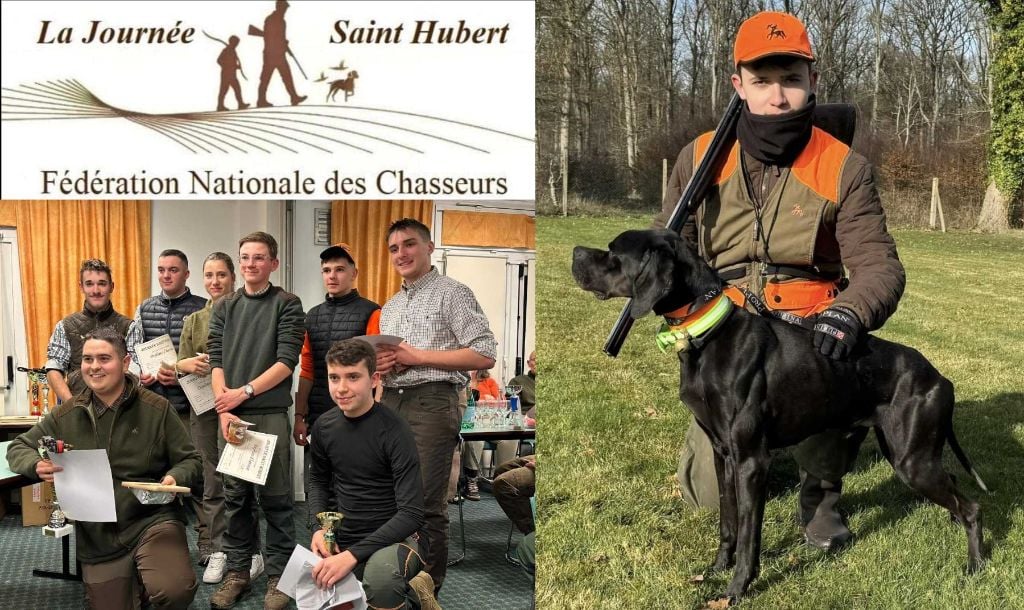 CH. O'boy junior du bois de la Hulaine