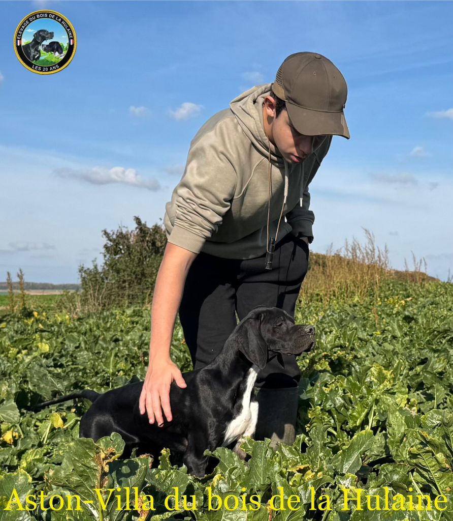 Aston-villa du bois de la Hulaine