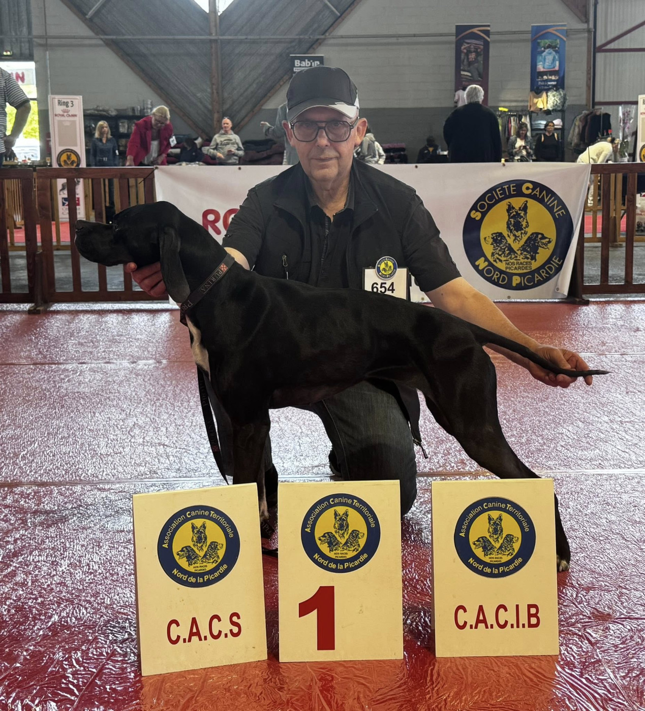 Venus du bois de la Hulaine - CACS CACIB