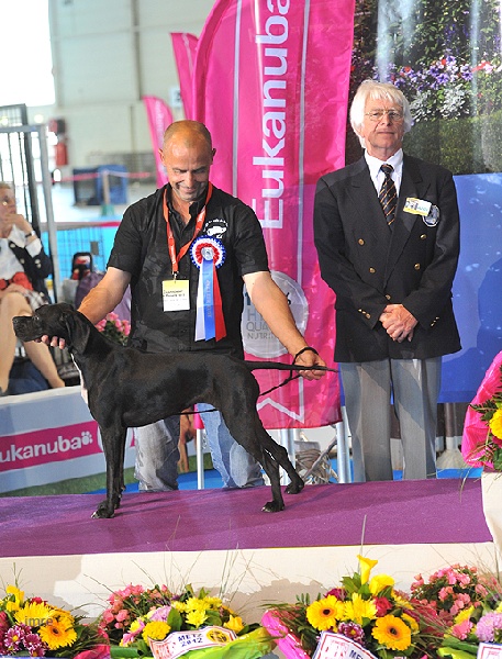 Gitane du bois de la Hulaine - 1er EXC classe jeune, meilleur de race , 2eme prix du groupe 7