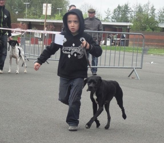 Gitane du bois de la Hulaine - RCACS- RCACIB Conduit par WILLIAM