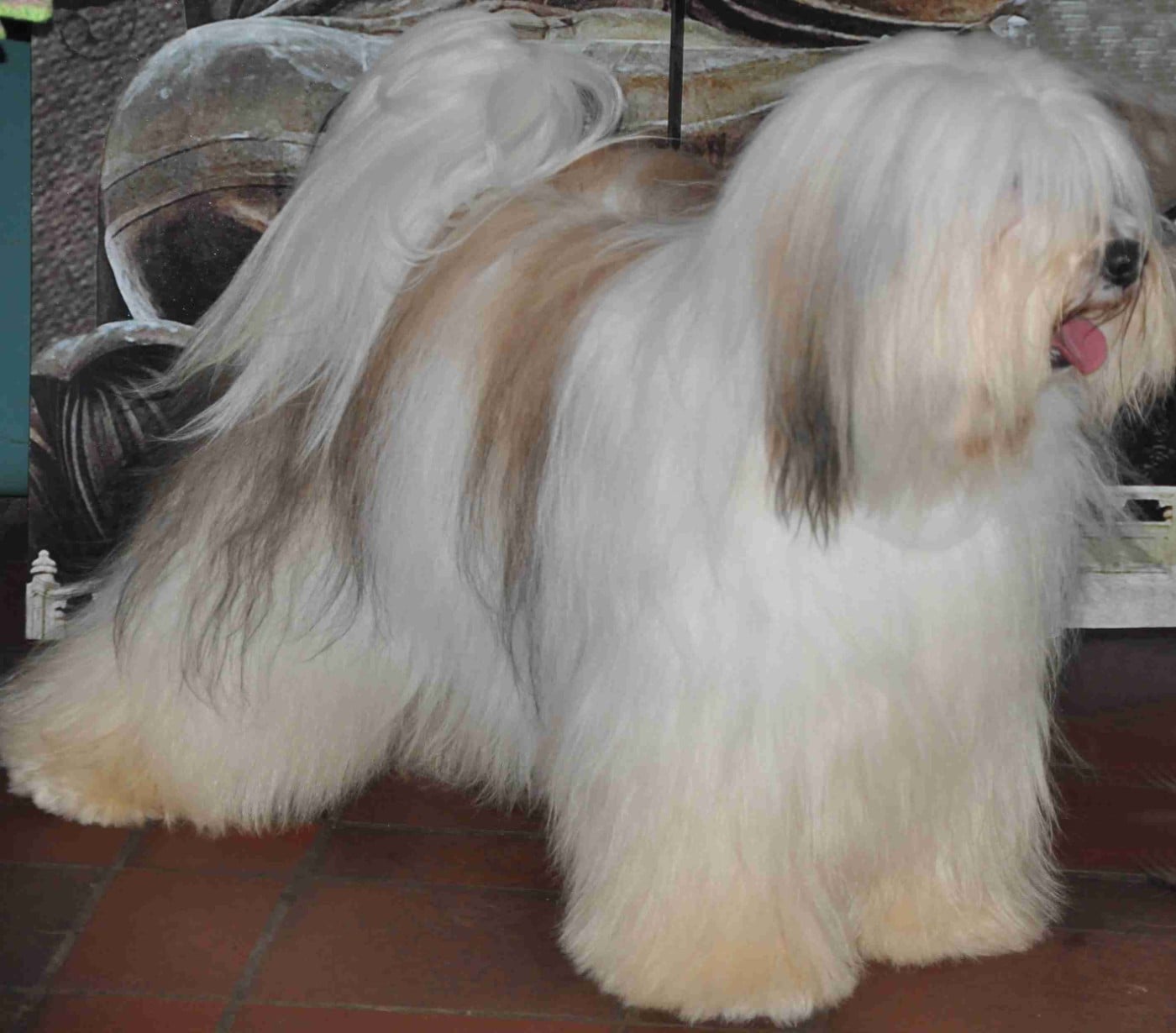 CH. Nedong lamleh tibet de Ling Dechen