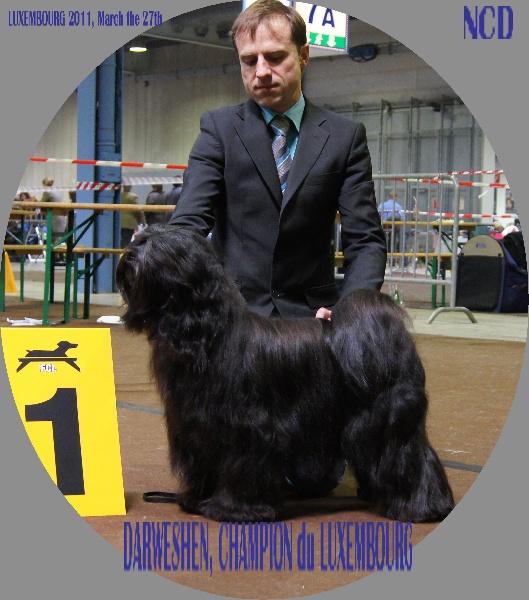 Publication : de Ling Dechen Auteur : N. Delescaut