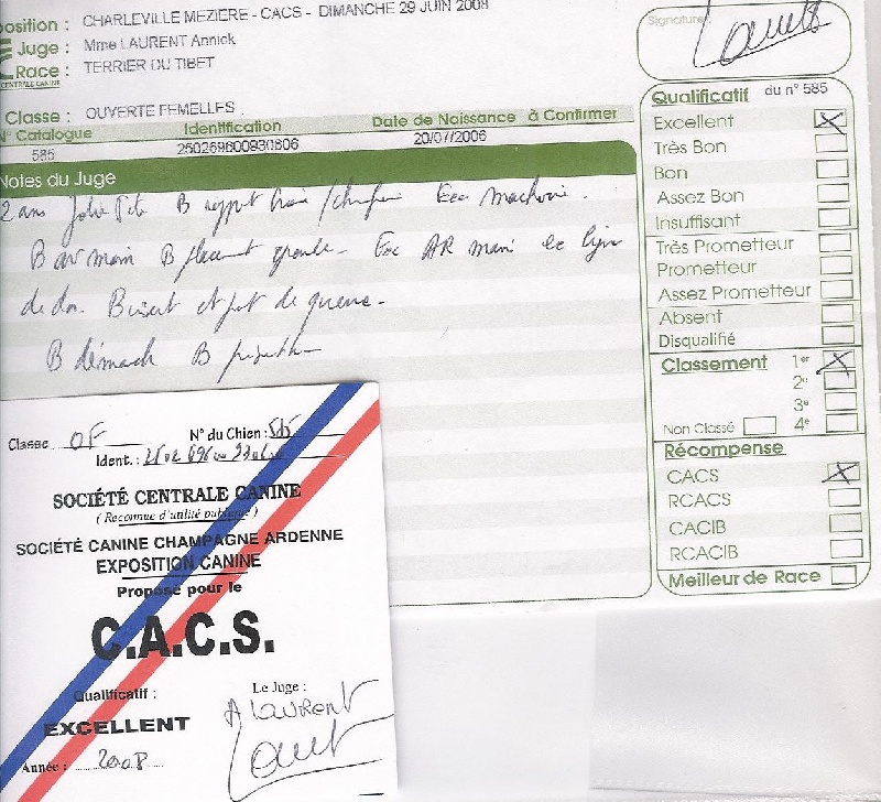 Bhaktipour- gyalmo de makalu - PREMIER CACS CLASSE OUVERTE FEMELLE