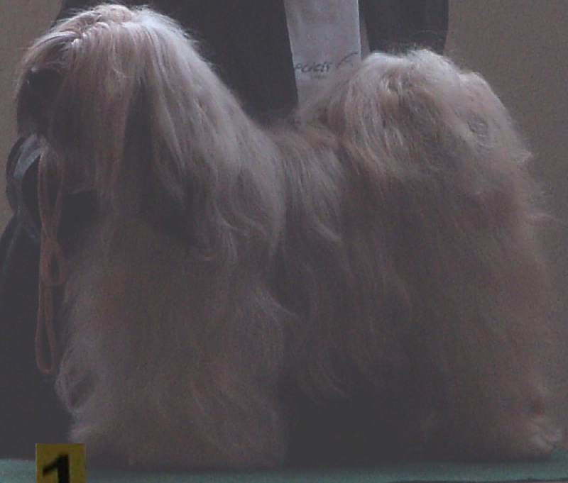 Bhaktipour- gyalmo de makalu - 1ère excellent