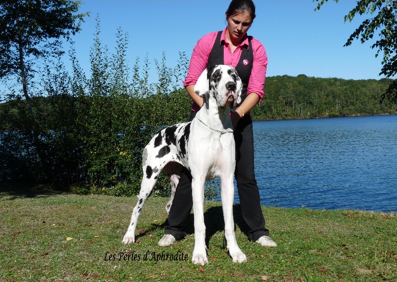 Egérie des perles d'Aphrodite