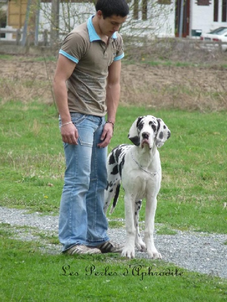 Egérie des perles d'Aphrodite