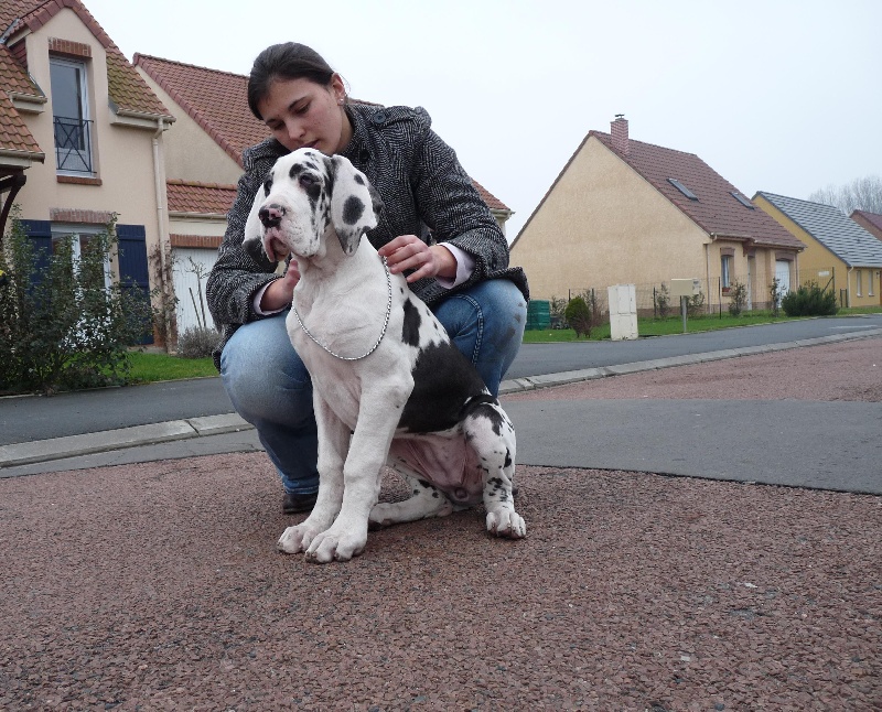 Egérie des perles d'Aphrodite