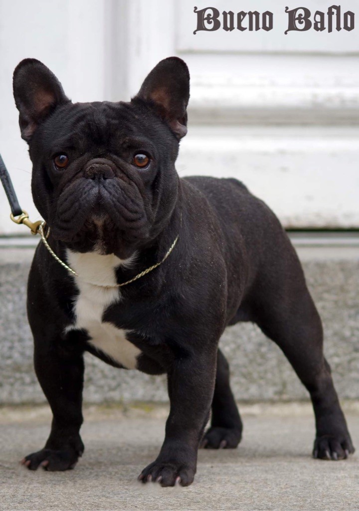 Publication : des perles d'Aphrodite