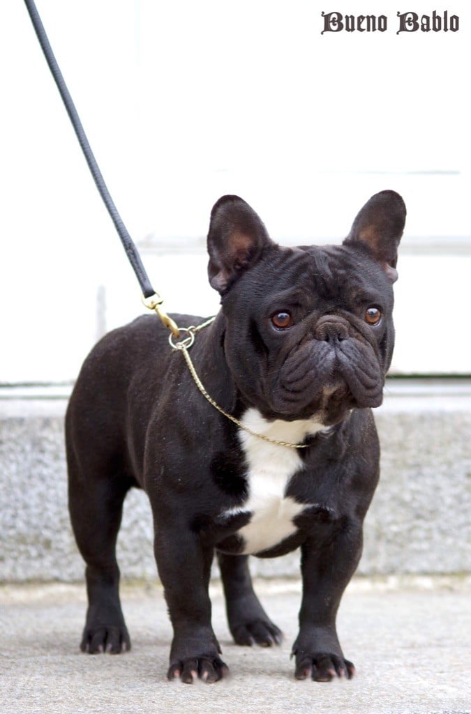 Publication : des perles d'Aphrodite