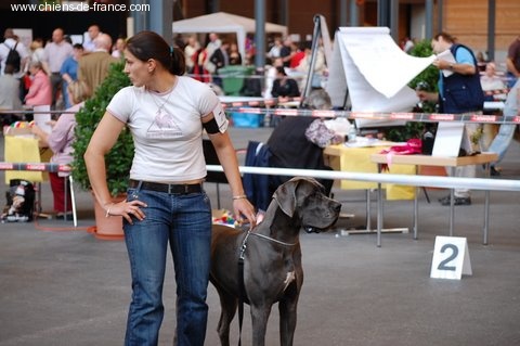 CH. Josefine Vom haus wagner - 1er Exc Classe jeune CAC