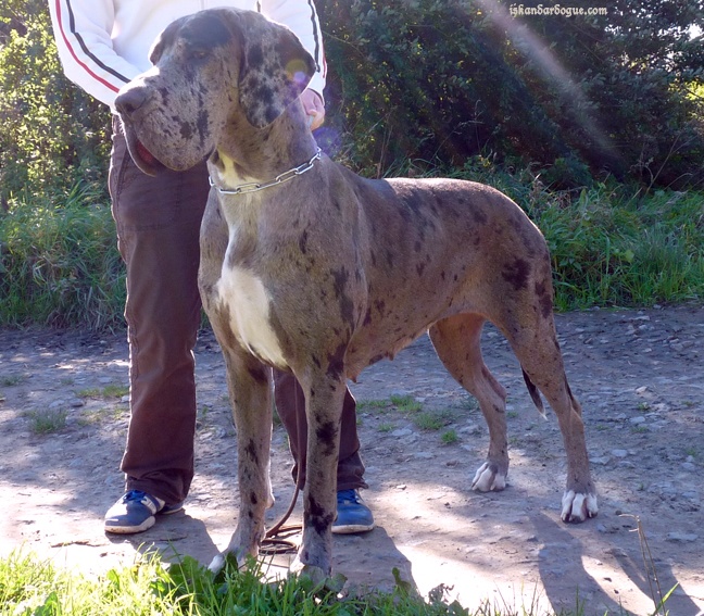Emilou d'Iskandar - Pas de qualificatif car GBN