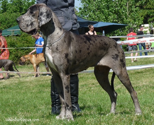 Emilou d'Iskandar - Pas de qualificatif car GBN