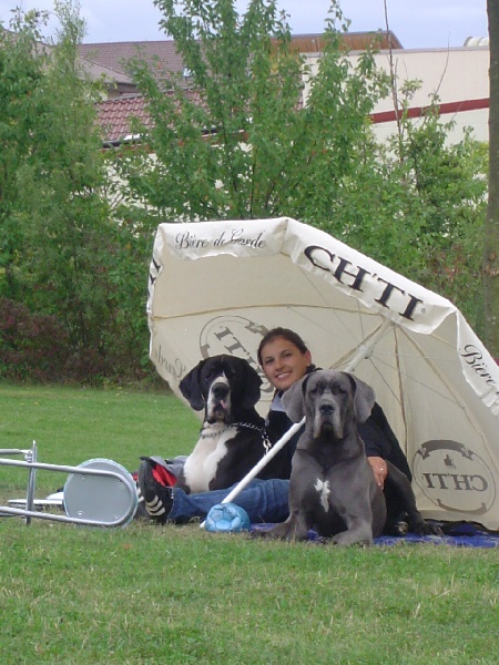 CH. Josefine Vom haus wagner - 2 eme trés bon en classe jeune