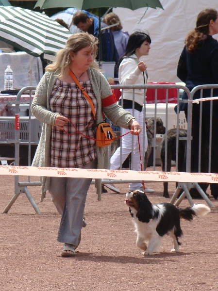 Don diego (Sans Affixe) - 1 ER EXCELLENT