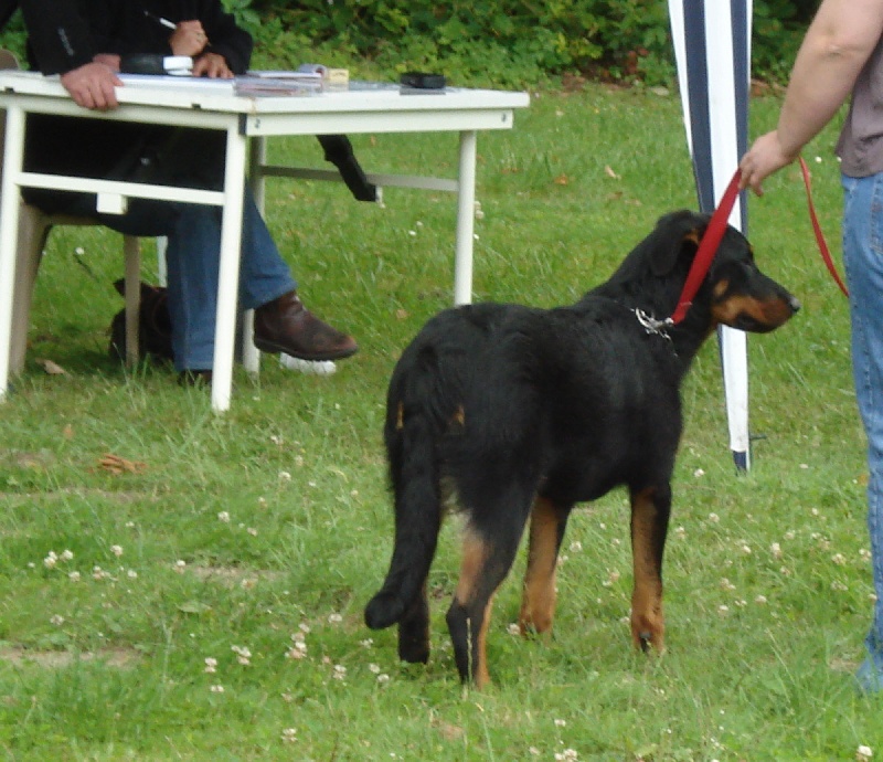 Dannyka de la Chantrerie - TP