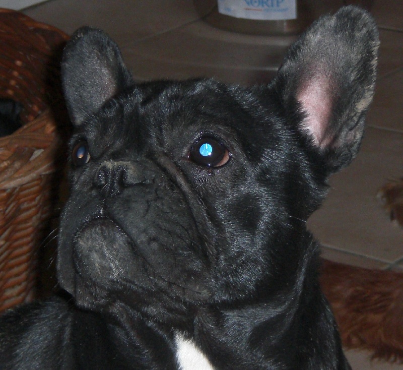 Auteur : Mula Marie-Christine