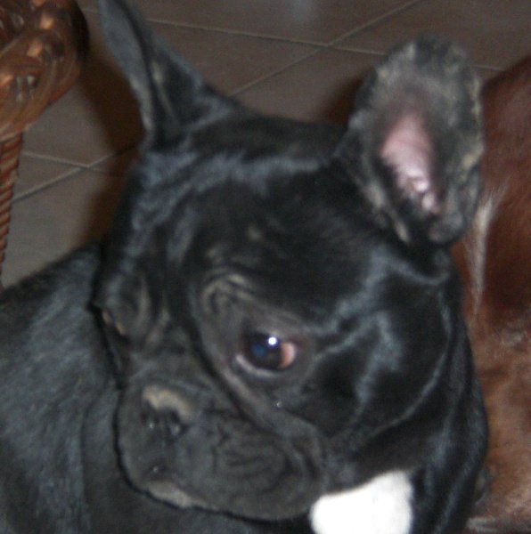 Auteur : Mula Marie-Christine