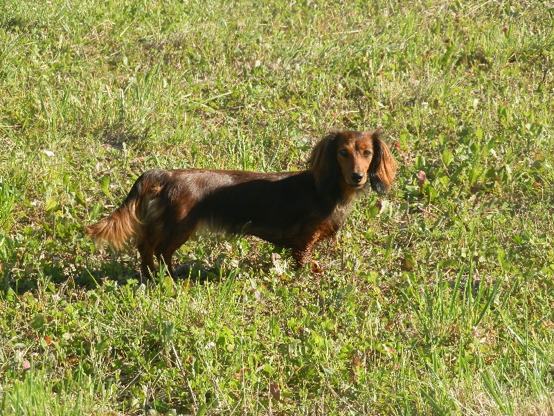 Publication : de la Générade Auteur : loubaresse