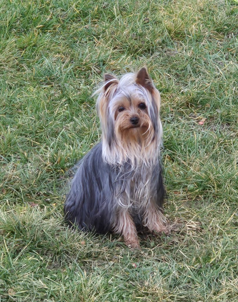 Véga de la Générade